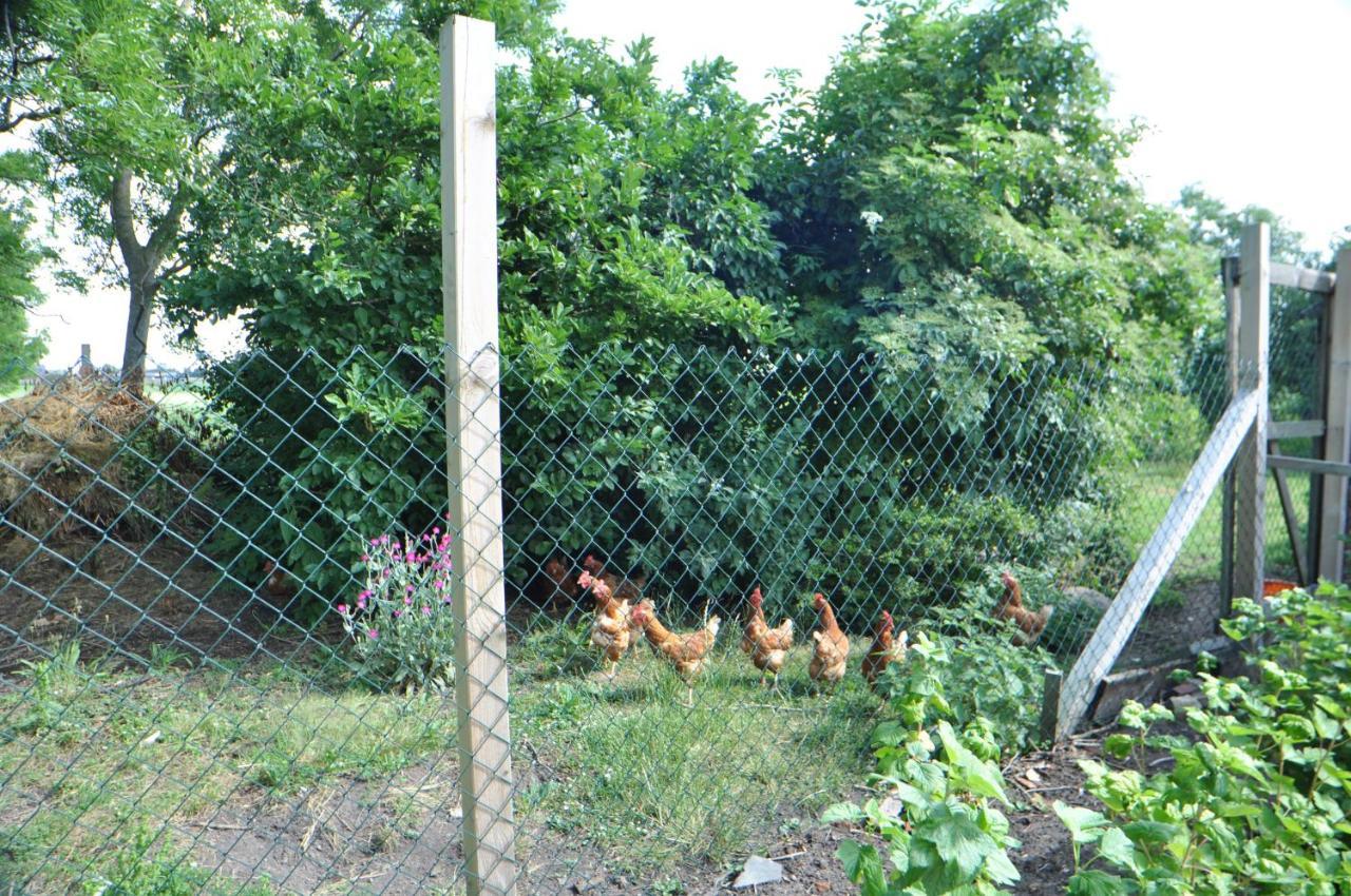 Ferienwohnung Landliebe 65347 Moormerland ภายนอก รูปภาพ