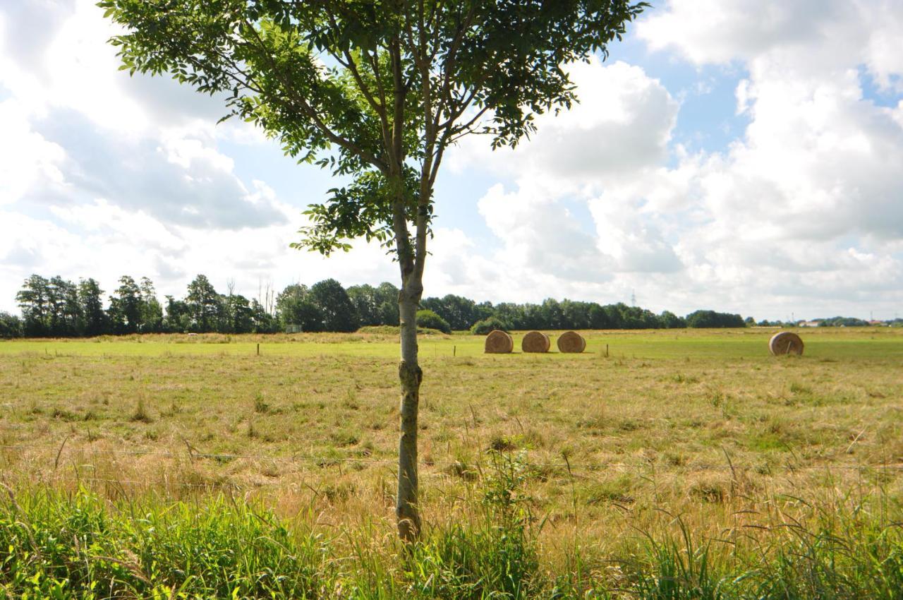 Ferienwohnung Landliebe 65347 Moormerland ภายนอก รูปภาพ